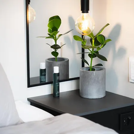 Leilighet, Nyoppusset Leilighet