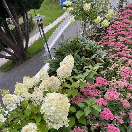 Leilighet, Nyoppusset * Langevag