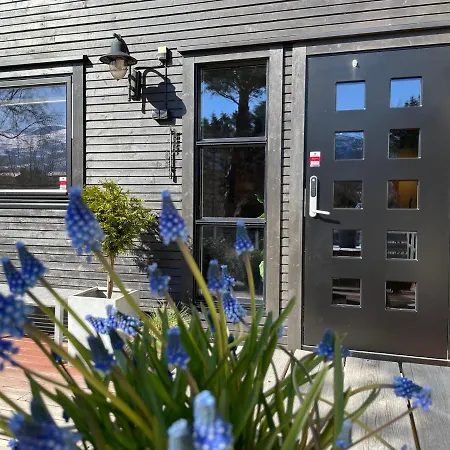 Leilighet, Nyoppusset