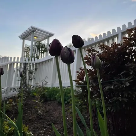 Leilighet, Nyoppusset *